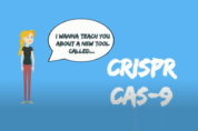 Read more about the article Student Synergy Project: Genetic Modification Tool CRISPR CAS-9